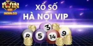 Hà Nội Vip - Làm Giàu Nhanh Chóng, Đổi Đời Cực Nhanh 2024