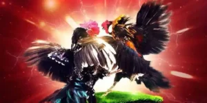 Đá Gà Thomo 67 - Chuyên Gia Chia Sẻ Bí Quyết Cá Cược 2024